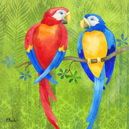 Picture of BIRD BUDDIES II - PARROTS