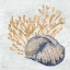 Picture of SHIMMERING SHELLS IV - INDIGO