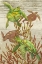 Picture of CALYPSO TURTLES VERTICAL