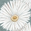 Picture of FLORAL BLOOM III