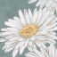 Picture of FLORAL BLOOM IV