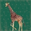 Picture of EMERALD VELD II