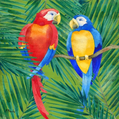 Picture of AMAZON BIRDS I