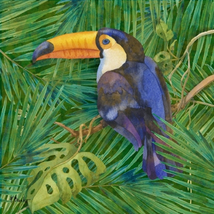 Picture of AMAZON BIRDS III