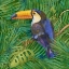 Picture of AMAZON BIRDS III