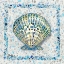 Picture of EMBELLISHED SHELLS III