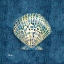 Picture of EMBELLISHED SHELLS III - BLUE