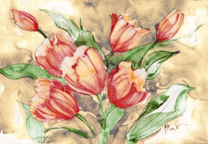 Picture of FRESH TULIPS - CORAL