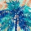 Picture of MIAMI PALM II
