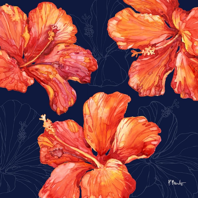 Picture of HILO HIBISCUS