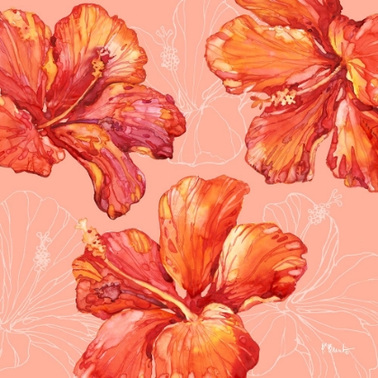 Picture of HILO HIBISCUS - CORAL