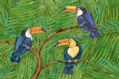 Picture of AMAZON BIRDS HORIZONTAL