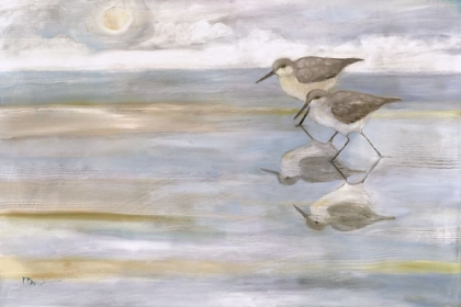 Picture of SUNLIGHT REFLECTIONS - TWO SANDPIPERS