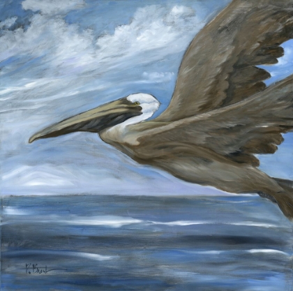 Picture of UPDRAFT BROWN PELICAN