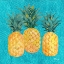 Picture of PINEAPPLE SHAKE - TEAL