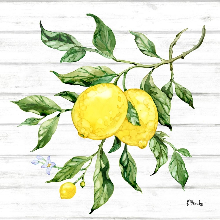 Picture of SICILIAN LEMONS II - WOOD