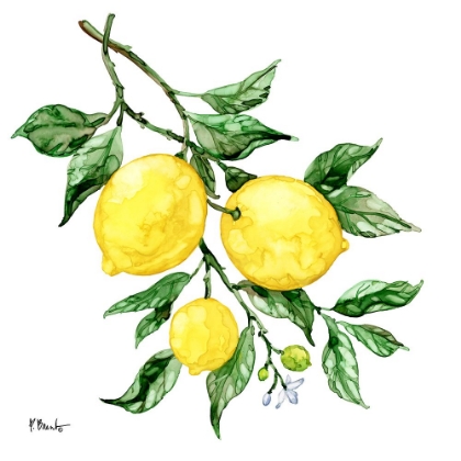 Picture of SICILIAN LEMONS III