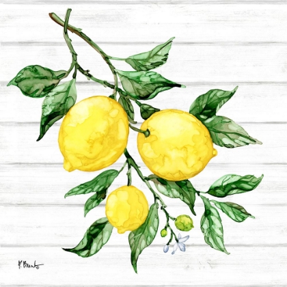 Picture of SICILIAN LEMONS III - WOOD