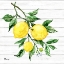 Picture of SICILIAN LEMONS III - WOOD