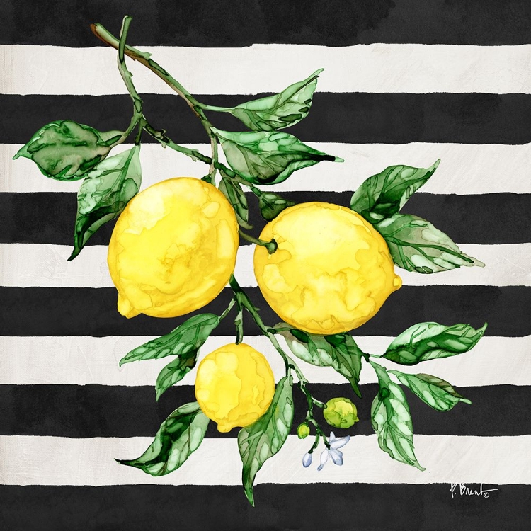 Picture of SICILIAN LEMONS III - STRIPES