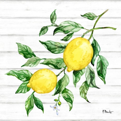 Picture of SICILIAN LEMONS IV - WOOD