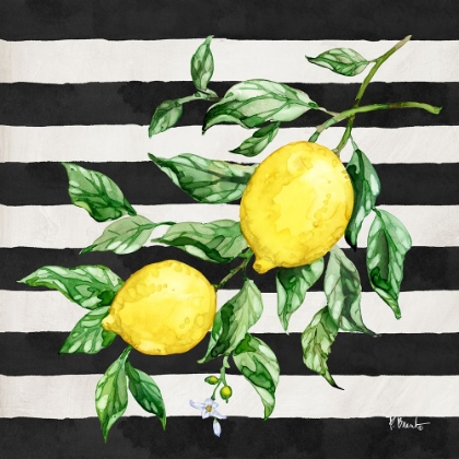 Picture of SICILIAN LEMONS IV - STRIPES