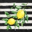 Picture of SICILIAN LEMONS IV - STRIPES