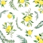 Picture of SICILIAN LEMONS TOSS I