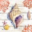 Picture of BAHIA SHELLS WOOD III