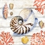 Picture of BAHIA SHELLS WOOD IV