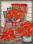 Picture of FARMHOUSE FLORALS I