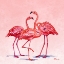 Picture of HILO FLAMINGOS IV