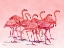 Picture of HILO FLAMINGOS HORIZONTAL