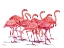 Picture of HILO FLAMINGOS HORIZONTAL - WHITE