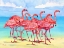 Picture of HILO FLAMINGOS HORIZONTAL - BEACH