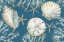 Picture of PLAYA SHELLS HORIZONTAL - INDIGO
