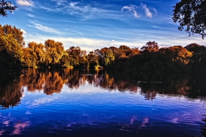 Picture of AFTERNOON POND