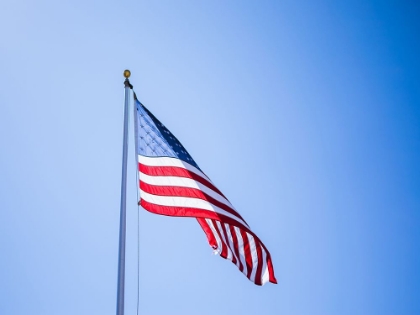 Picture of AMERICAN FLAG