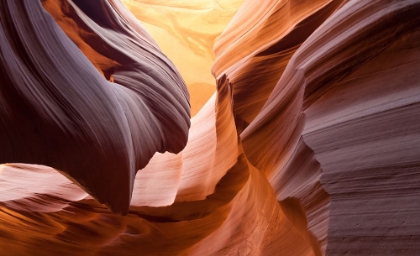 Picture of ANTELOPE CANYON 8