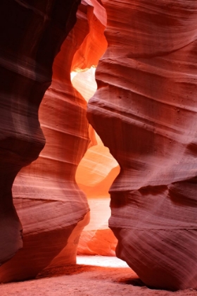 Picture of ANTELOPE CANYON 9