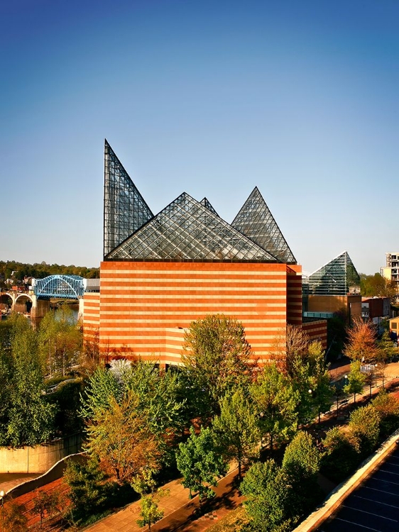 Picture of AQUARIUM FROM ABOVE