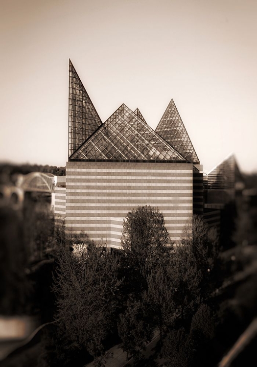 Picture of AQUARIUM FROM ABOVE SEPIA