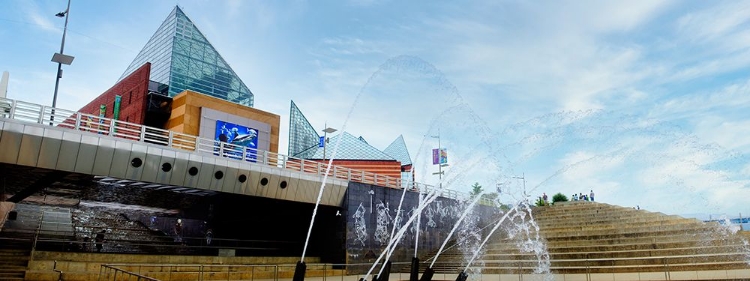 Picture of AQUARIUM PANO