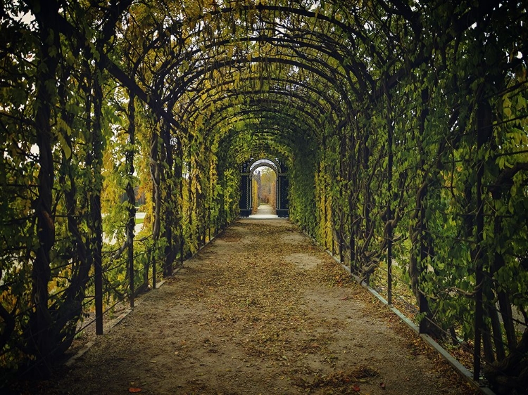 Picture of ARCHITECTURAL 3