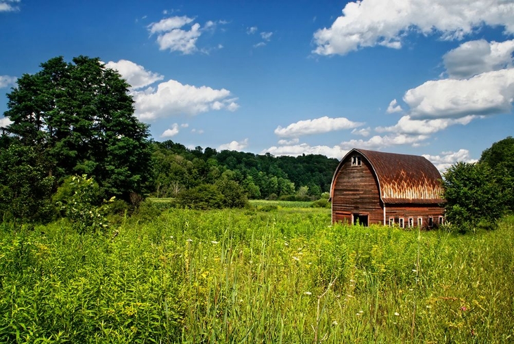 Picture of BARN 2