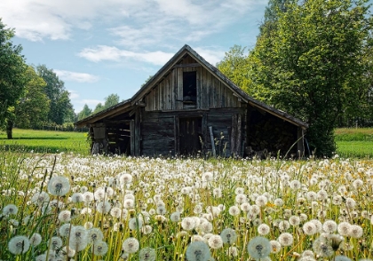 Picture of BARN 4