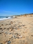 Picture of BEACH 26