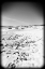 Picture of BEACH 26 BW HOLGA