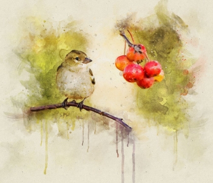 Picture of BIRD 1 WATERCOLOR