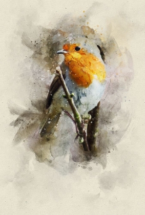 Picture of BIRD 15 WATERCOLOR